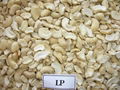 CASHEW NUT LP 