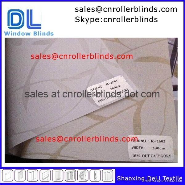 Printing Patterned Windows Roller Blind