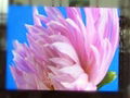 p8 outdoor led display original big