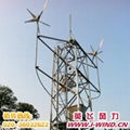 MAX600W风光互补发电系统 1