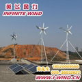 300W 12V 家用小型风力发电机 3