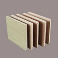 wood  veneer mgo board