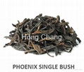 Phoenix single bush 1