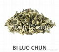 Bi Luo Chun green tea