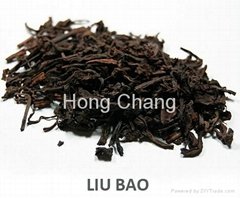 Liubao tea