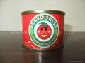 70g canned tomato paste 1