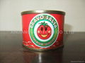 70g canned tomato paste