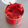 70g canned tomato paste 3