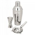 Stainless Steel Bottle Shaker 1