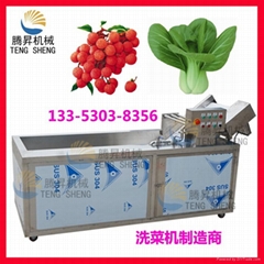 Multifunctional vegetable washing