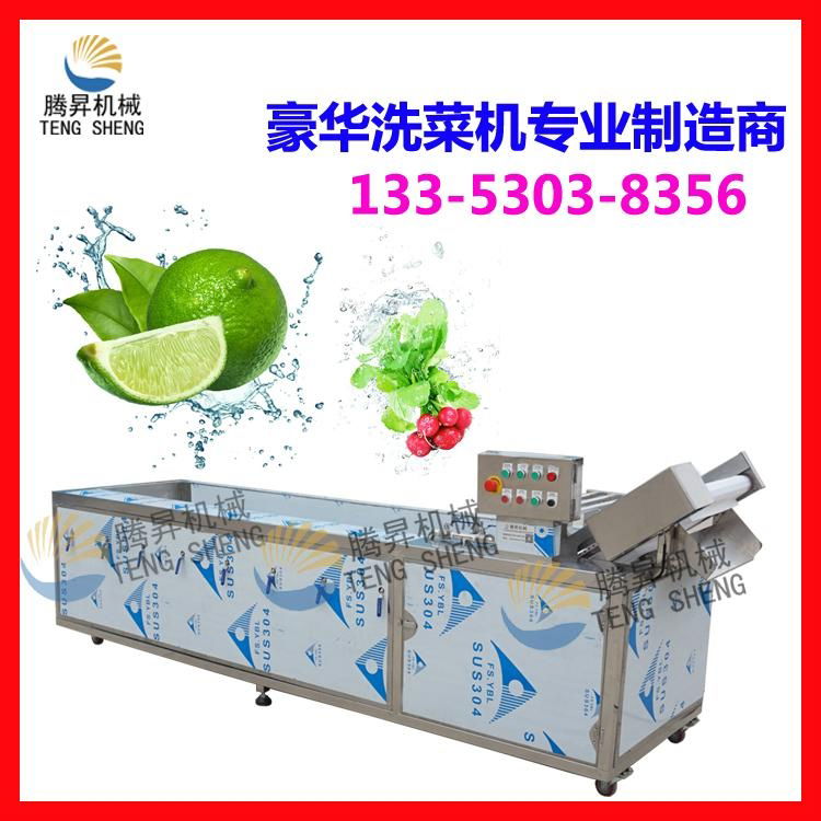 Factory direct rolling of vegetable washing machine air bubble cleaning machine 