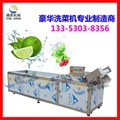 Factory direct rolling of vegetable washing machine air bubble cleaning machine  1