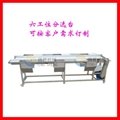 Fruit and vegetable processing equipment, fruit and vegetable sorting cleaning a 2