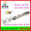 Fruit and vegetable processing equipment