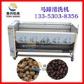 根莖類清洗去皮機 土豆去皮機
