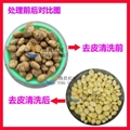 Potato peeling machine 4