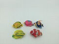 capsule toy-kinds of fishes figures