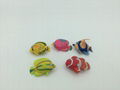 capsule toy-kinds of fishes figures