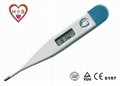 Digital thermometer 1
