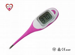 Jumbo display digital thermometer