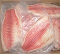 frozen tilapia fillets chinese factory