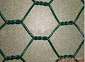 hexagonal wire mesh 1