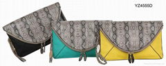 Fashion Ladies' Handbag YZ4555D