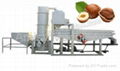 Automatic Hazelnut Shelling Machine 1