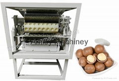 Macadamia Nut Shell Cutting Machine