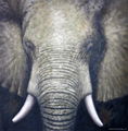 animal canvas art oil painting 2