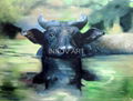 animal art oil painting for decoration 2