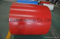 PPGI/ PPGL Steel Coil  2