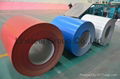 PPGI/ PPGL Steel Coil  3