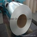 Galvanized Steel Coil  2