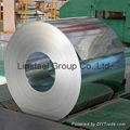 Galvanized Steel Coil  3