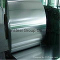 Galvanized Steel Coil  4