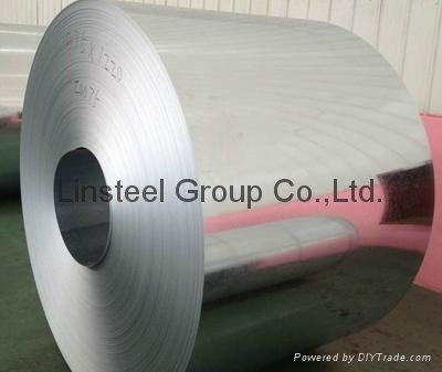 Galvanized Steel Coil  5