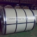 Hot dip galvanized steel coil 2