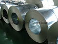 Hot Dipped Galvanized Steel Coil 3