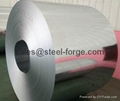 Price hot dipped galvanized steel coil 2