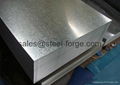 Hot galvanized steel coil 2