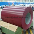 Prepainted Steel Coil 2