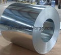 Galvanized Steel Coils 2