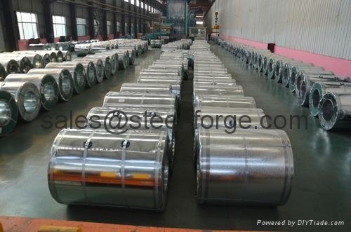 Hot Dipped Galvanized Steel Coil 4