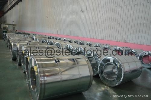 Hot Dipped Galvanized Steel Coil 5