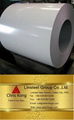 Color Coated Steel Coil