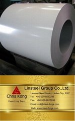 Color Coated Steel Coil 