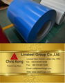 PPGI/ PPGL Steel Coil  1