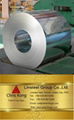 Hot Dipped Galvanized Steel Coil 1