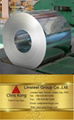 Hot Dipped Galvanized Steel Coil